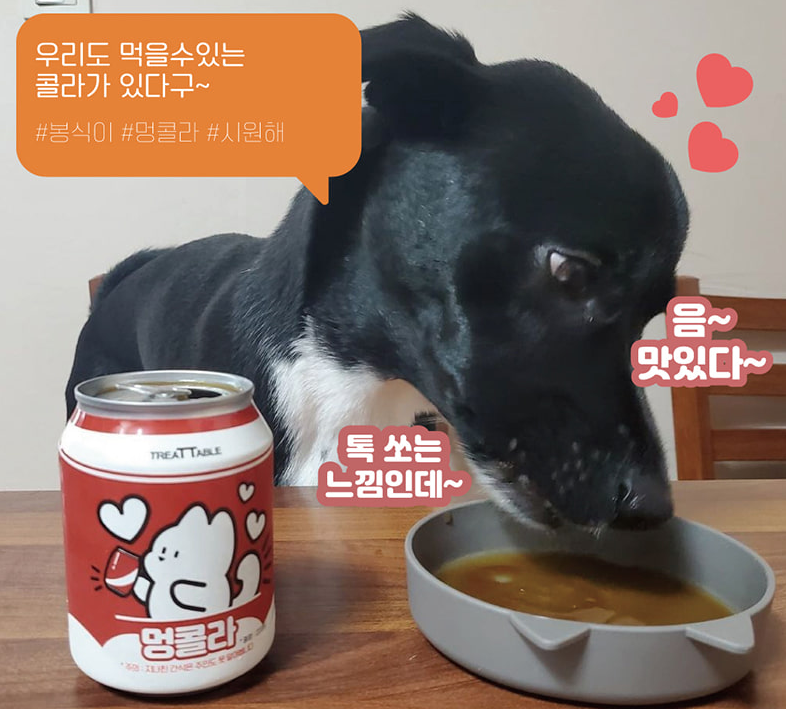 TREA Ttable Canned Drinks for Dogs