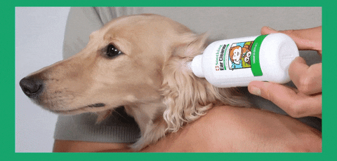 Laughing Charlie Soothing Ear Cleaner 120 ml