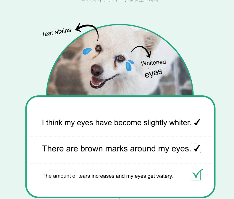 Pet Thinking eye nutrients