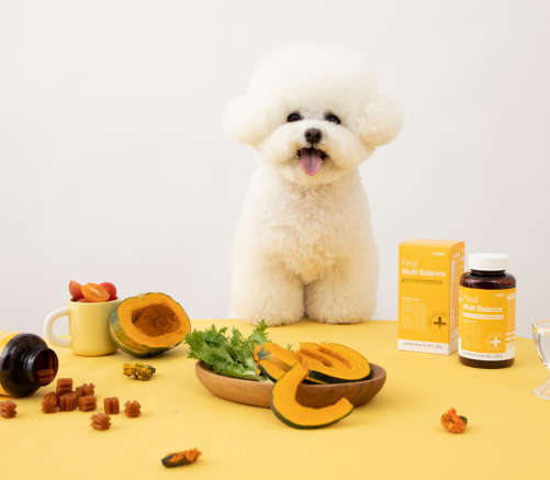 Pet Thinking  Comprehensive nutritional supplement