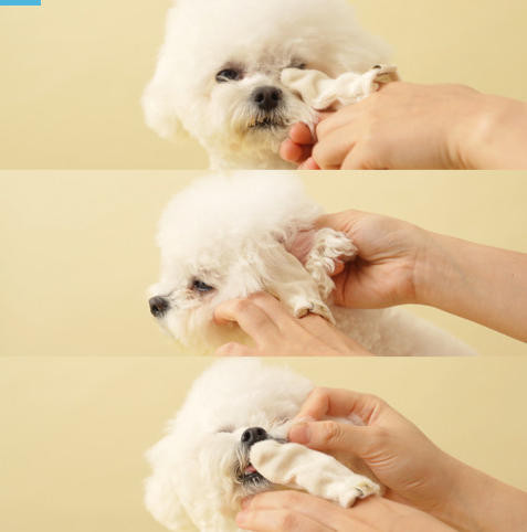 Pet thinks  Dog Ear Cleanser