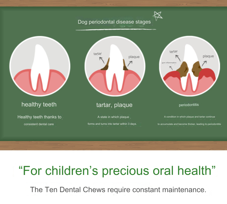 The Ten Dental Chew
