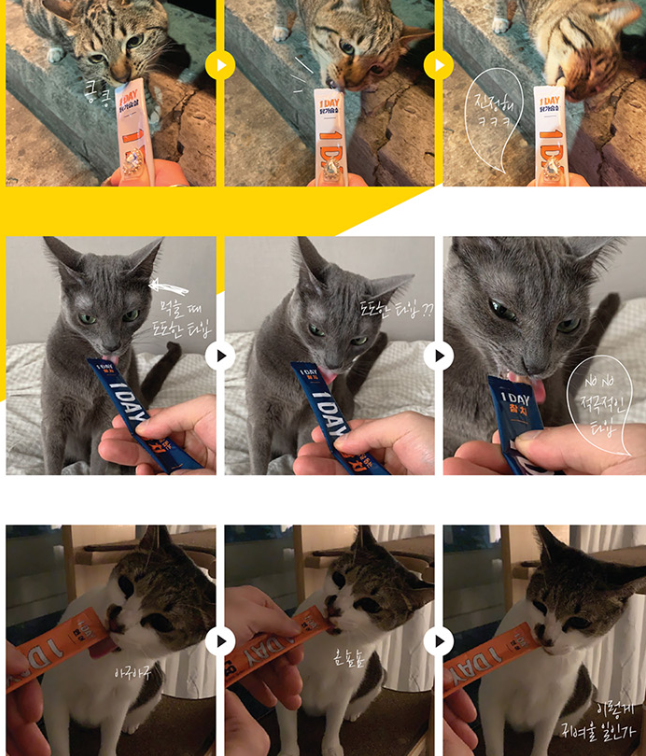 [Super Chew] wet cat snacks
