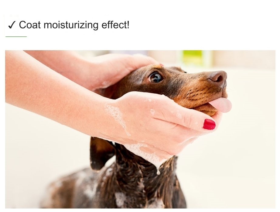 Ainsoap Silky Moisture /Calming Relief Shampoo 500ml