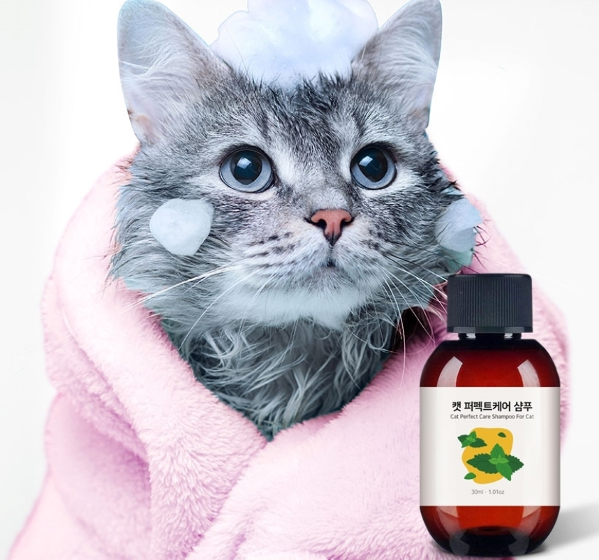 Ainsoap Cat Puppet Care Shampoo 50ml/200ml