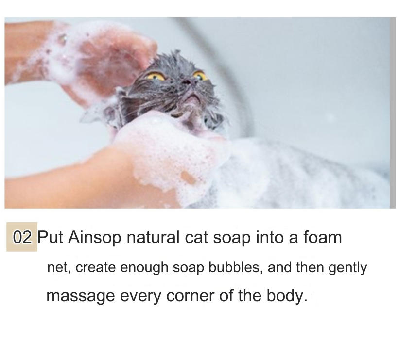 Ainsoap Mini cat soap set